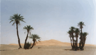 Animation - may take time to load