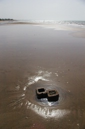 bricks in the sand