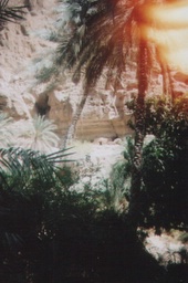 dwellings on far wall