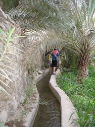 going along the wadi