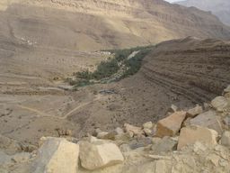 above the wadi