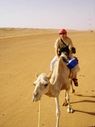 baz on camel