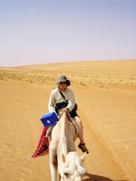 baz on camel