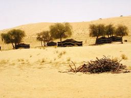 tents at the camp